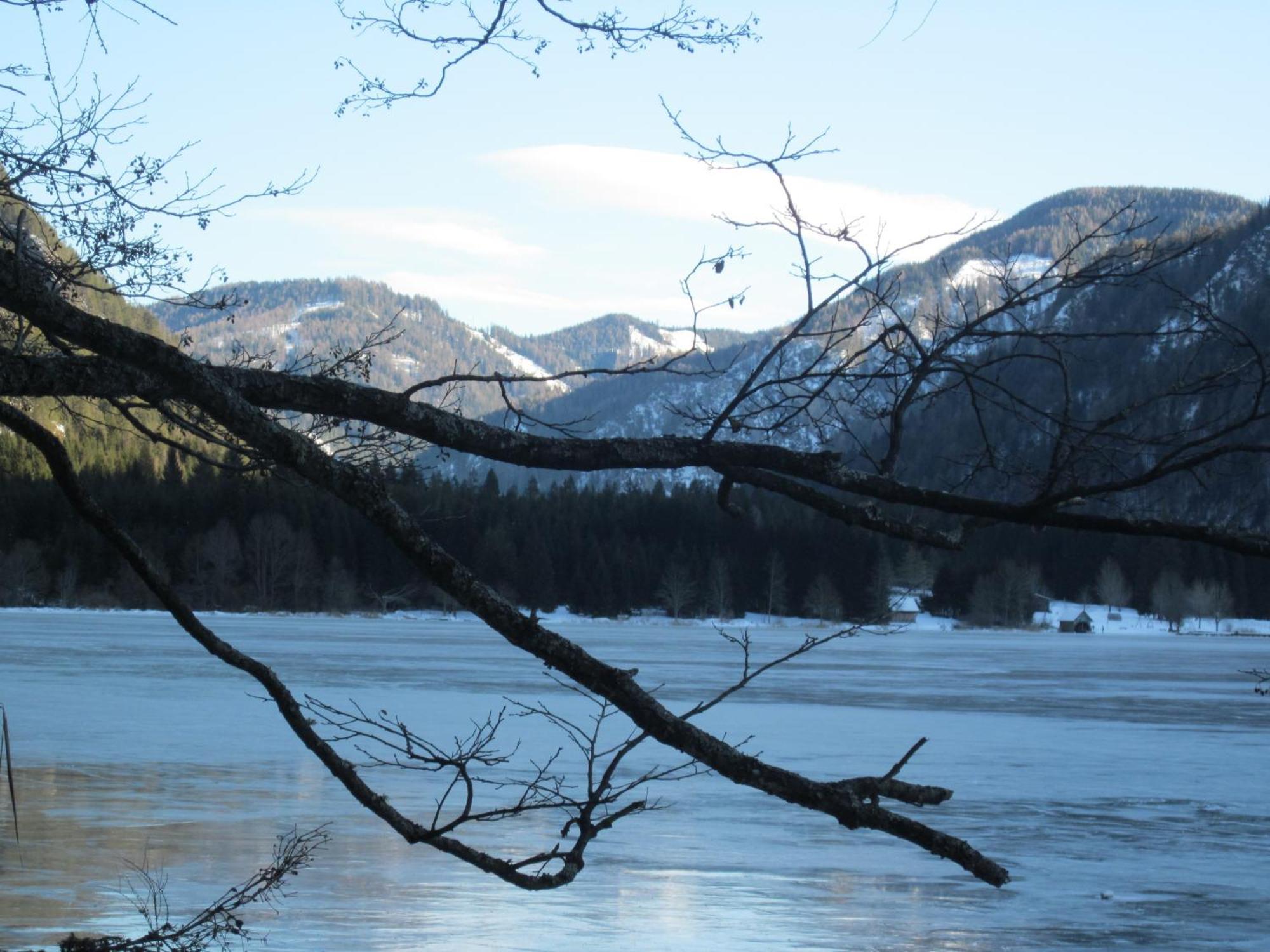 Ferienwohnung Moser Am See Millstatt Ngoại thất bức ảnh