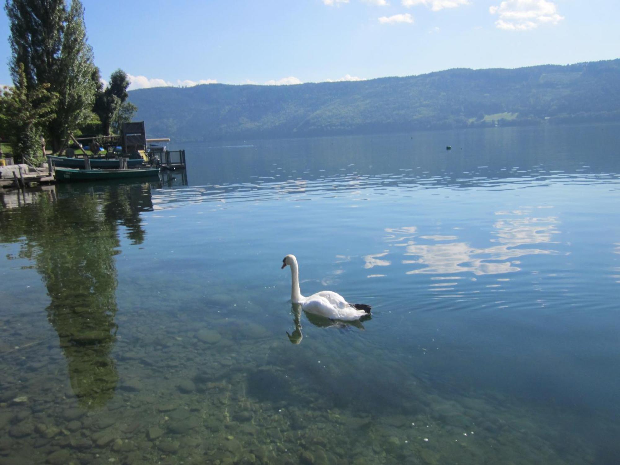 Ferienwohnung Moser Am See Millstatt Ngoại thất bức ảnh